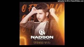 Download Seu Perfil Nadson, o Ferinha