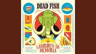 Download Bolero Dead Fish